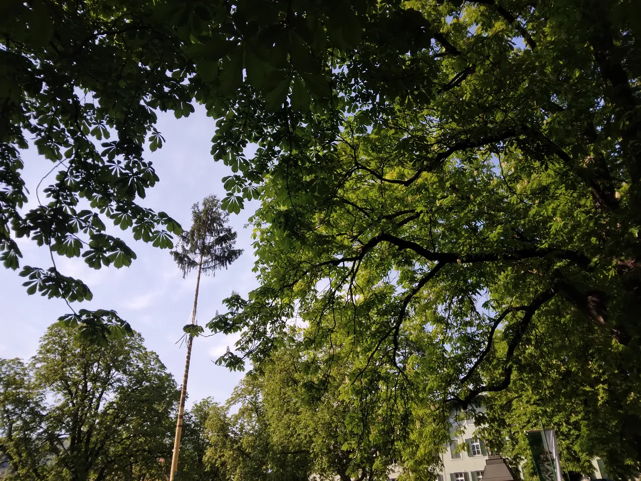 20220430_163804.jpg