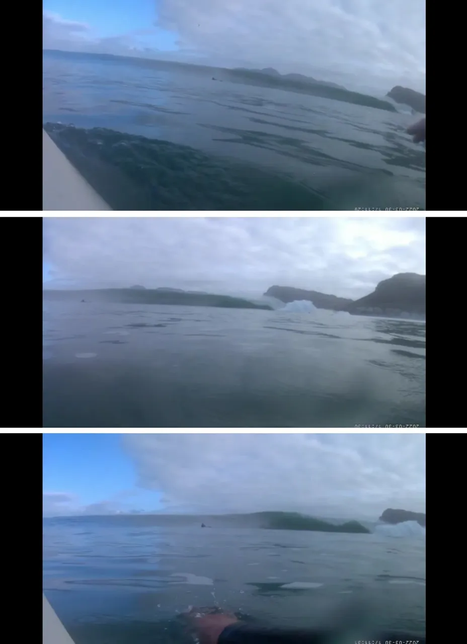 paddle_sequence.jpg