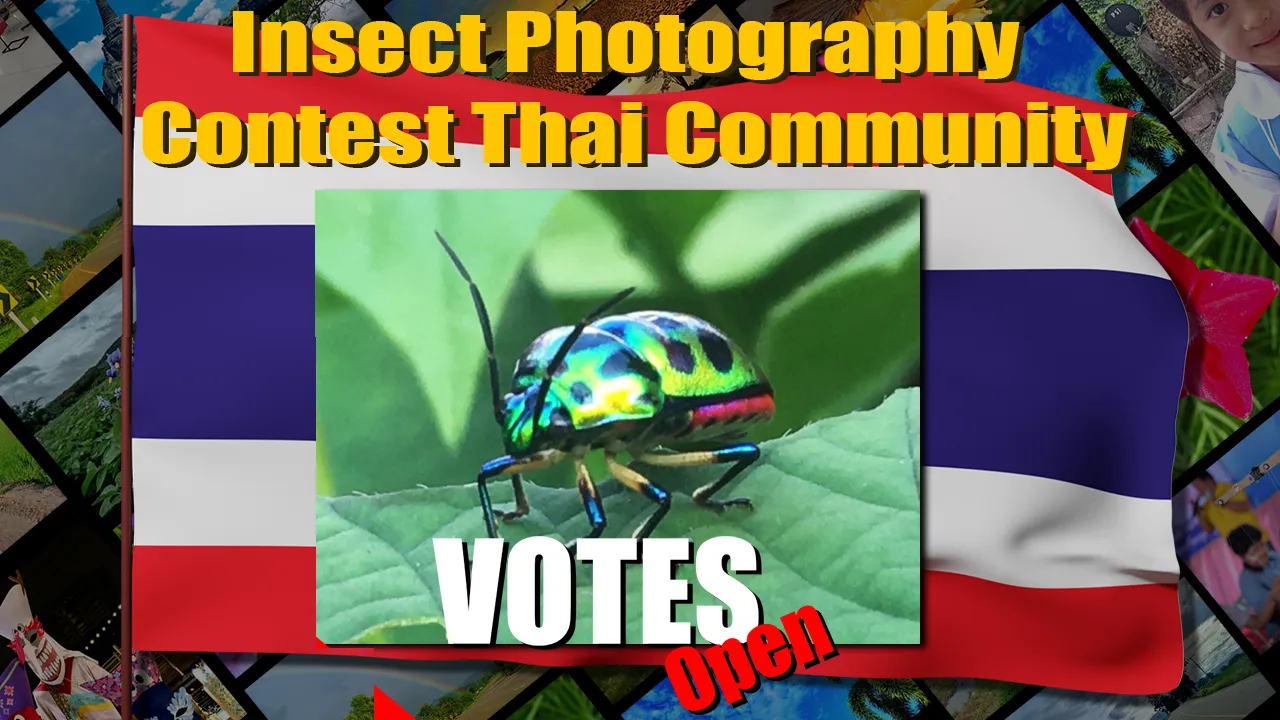 insect_new_vote.png