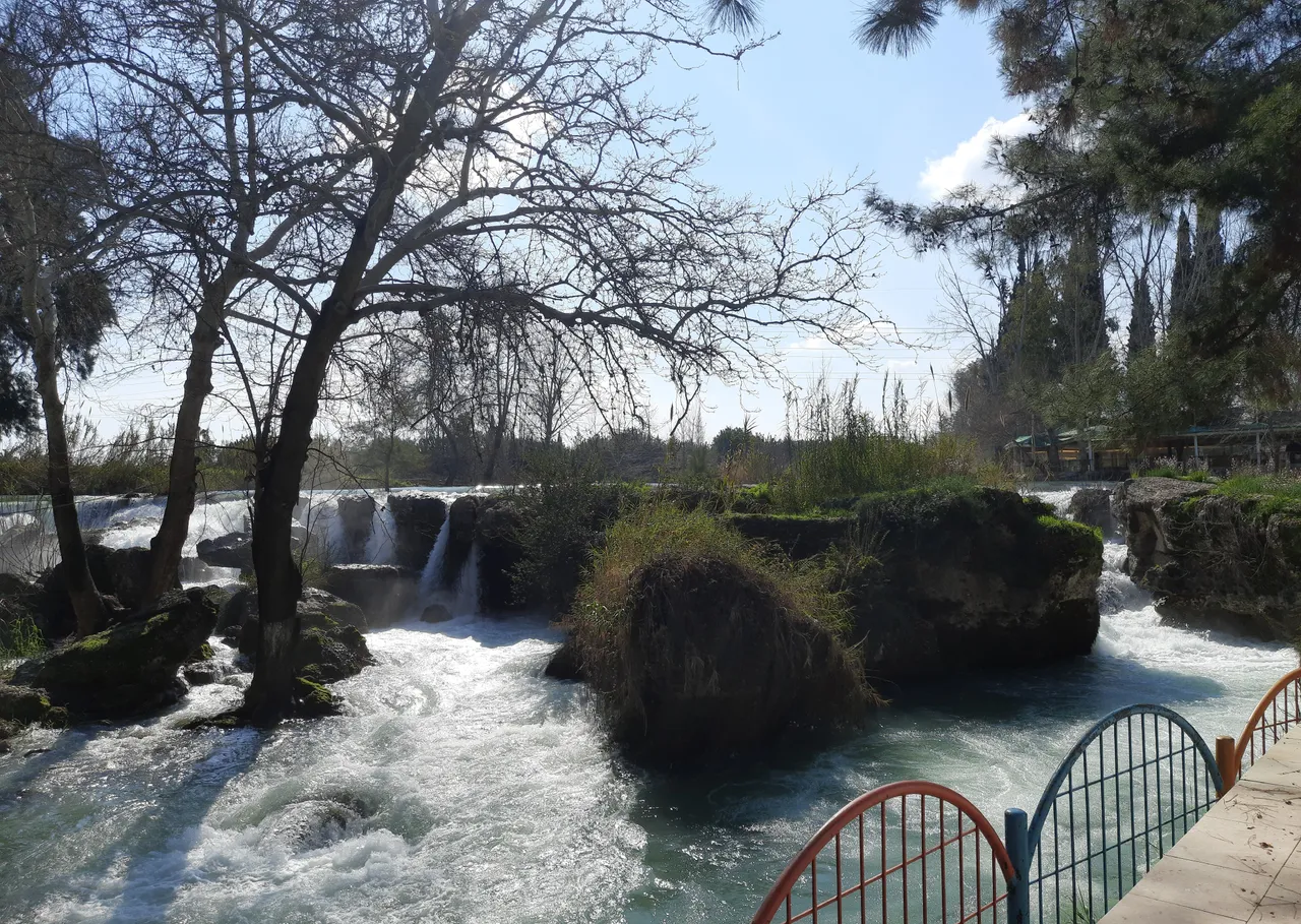 20220305_145820.jpg