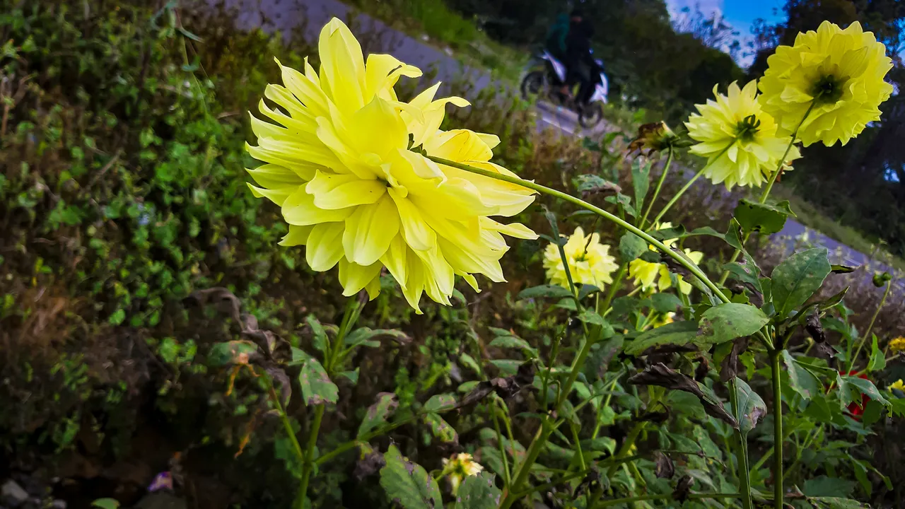 20220116_144714.jpg