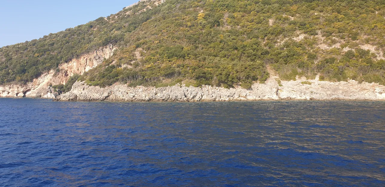 20190905_100312.jpg