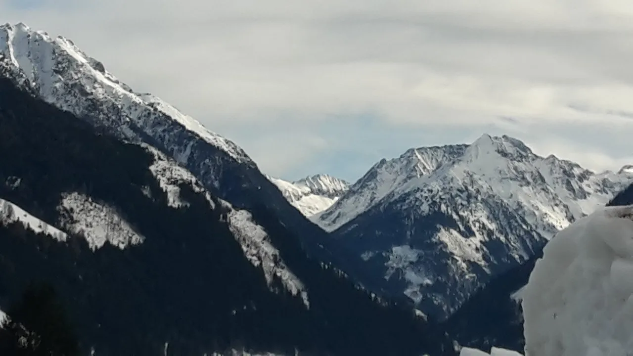 20180128_124226.jpg