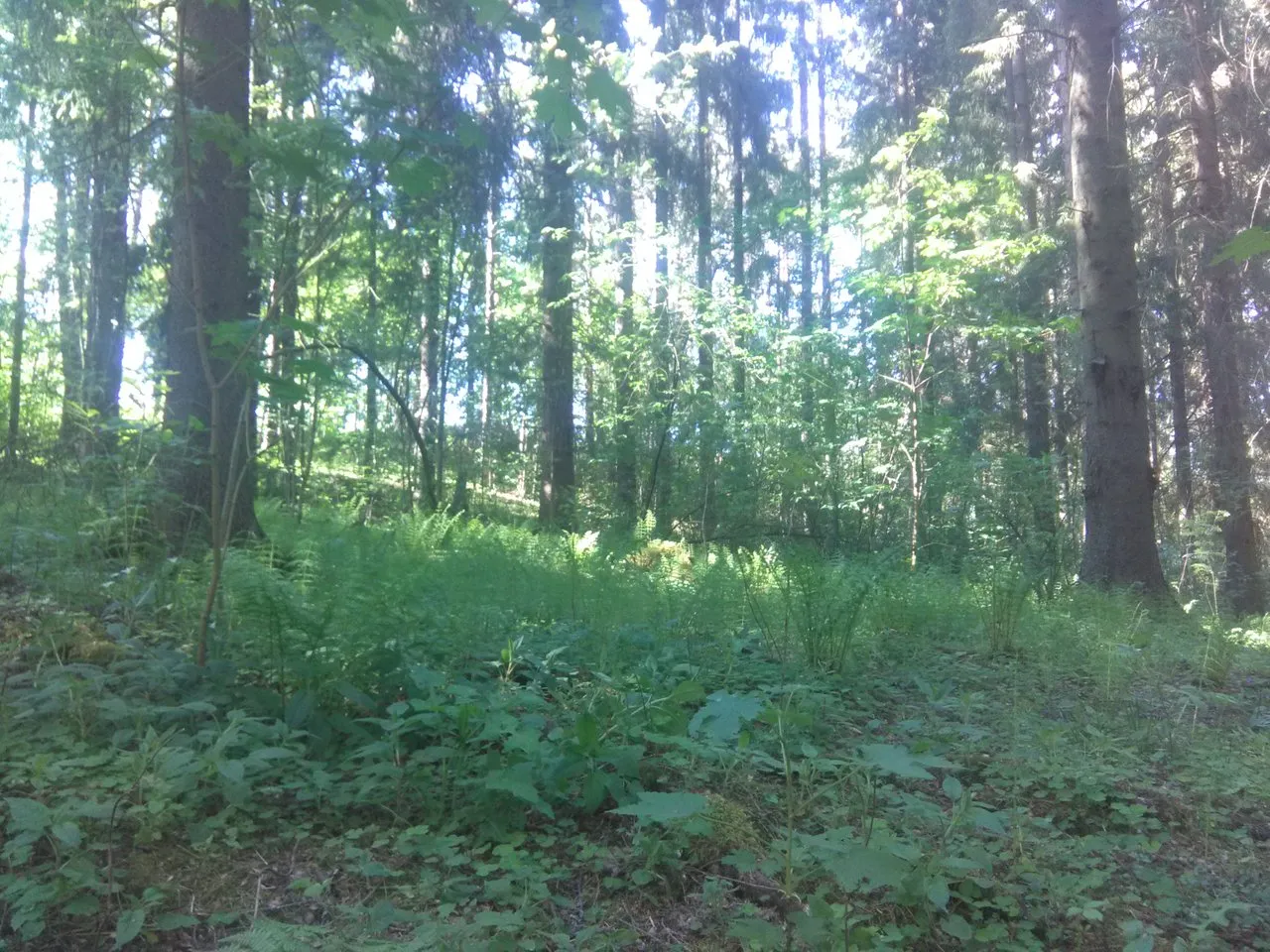 20200603_164556.jpg