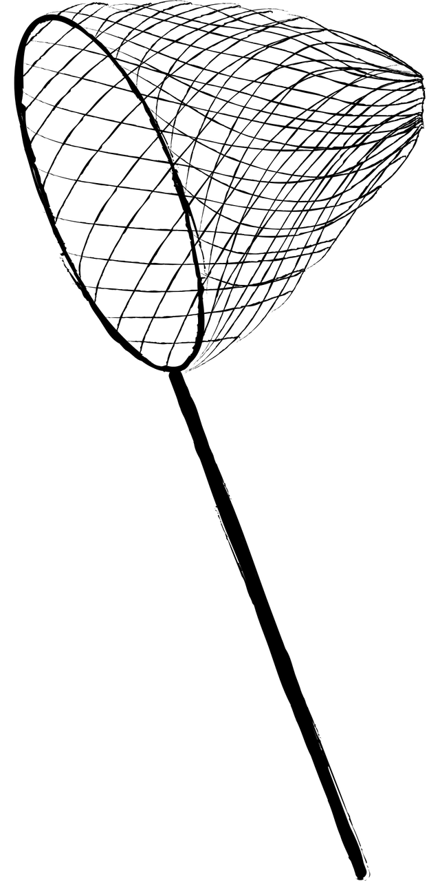 net-3850048_1280.png