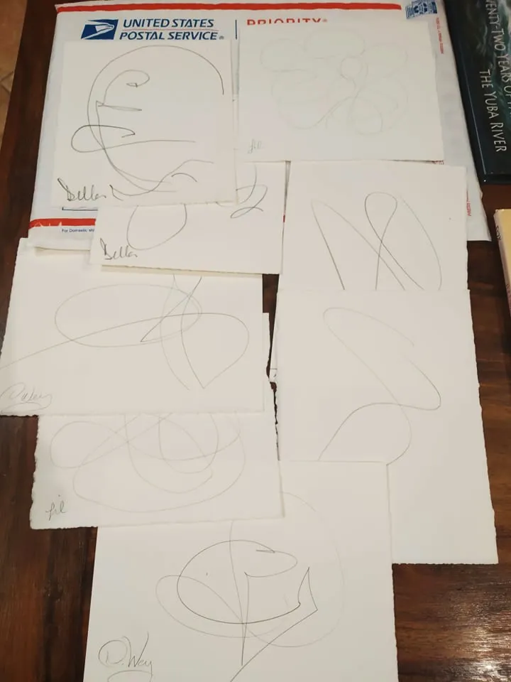 scribblesinpost1.jpg