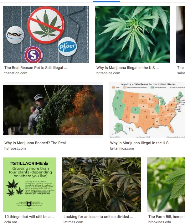 whyweedisillegal.jpg