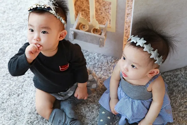 twins-775495_640.jpg