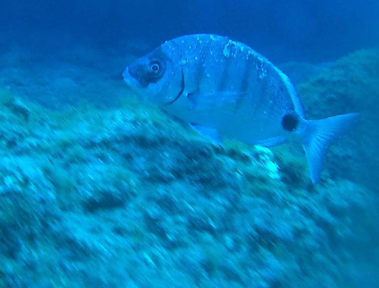 20180101_023900A.jpg