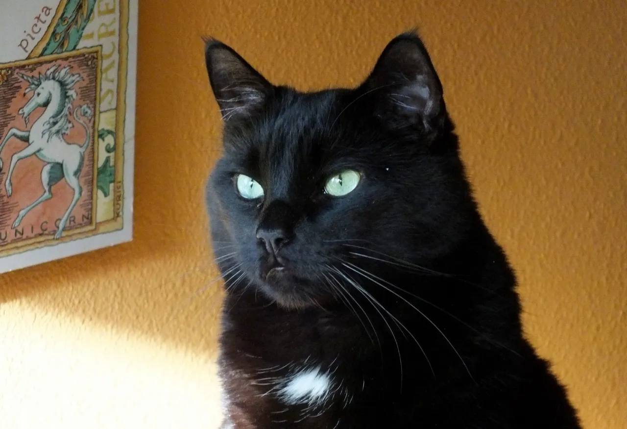CCP066Portrait.JPG