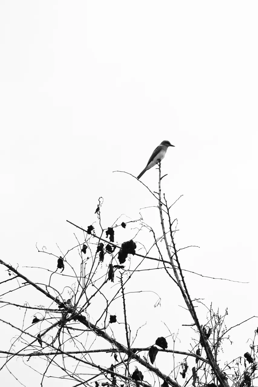 IMG_0750-Editar2.jpg