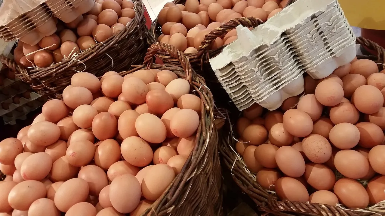 egg-1671574_1920.jpg
