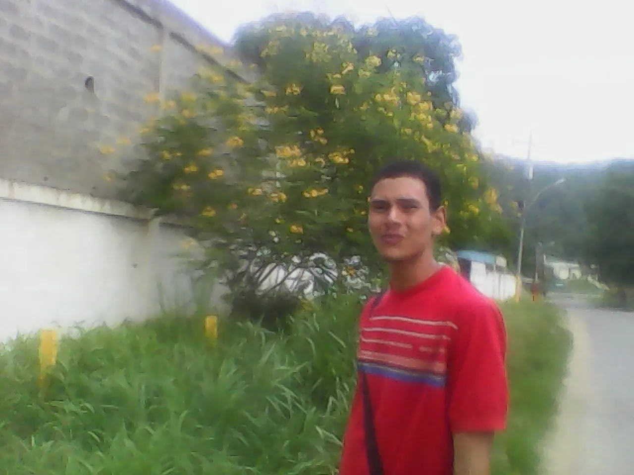 Img01_27-07-2014.JPG