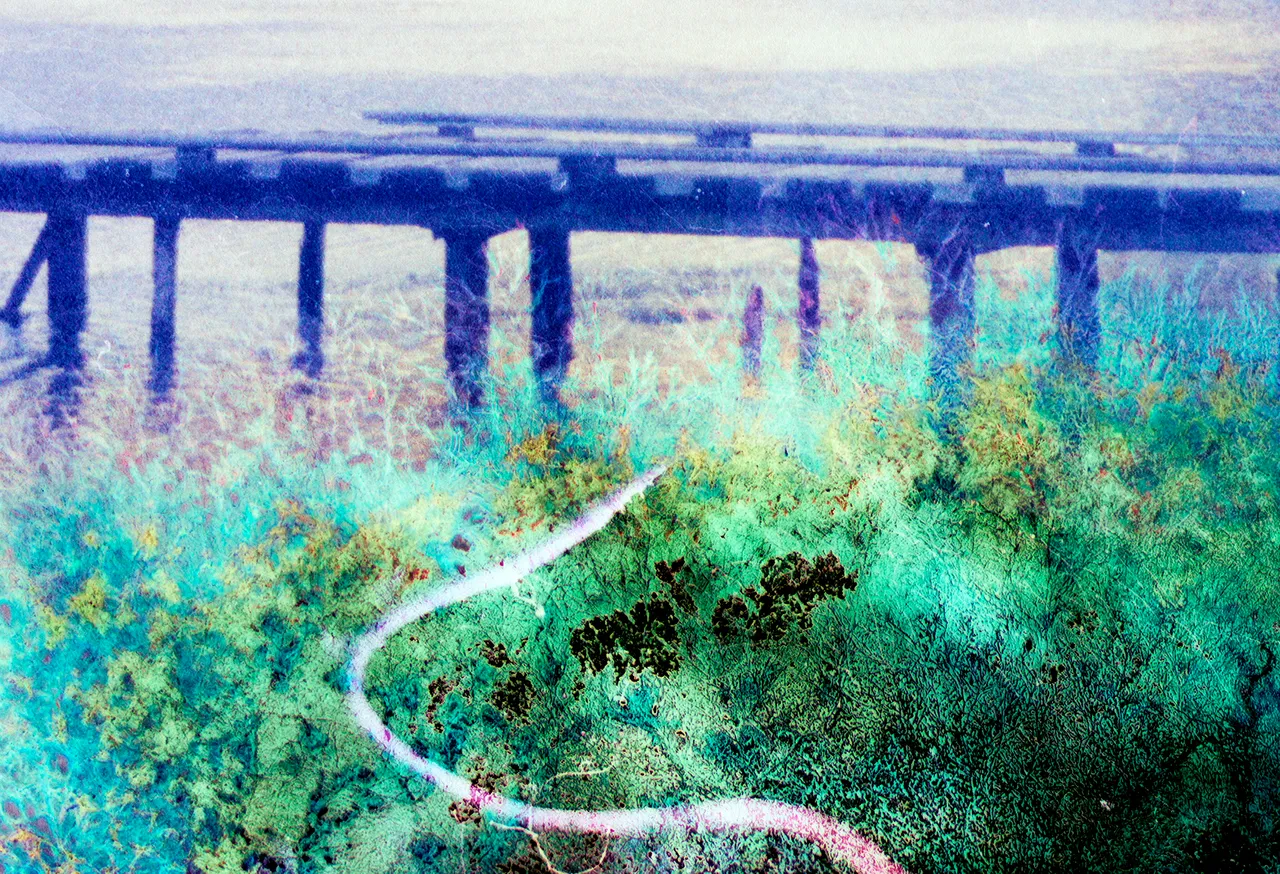 pierintoabyss004.jpg