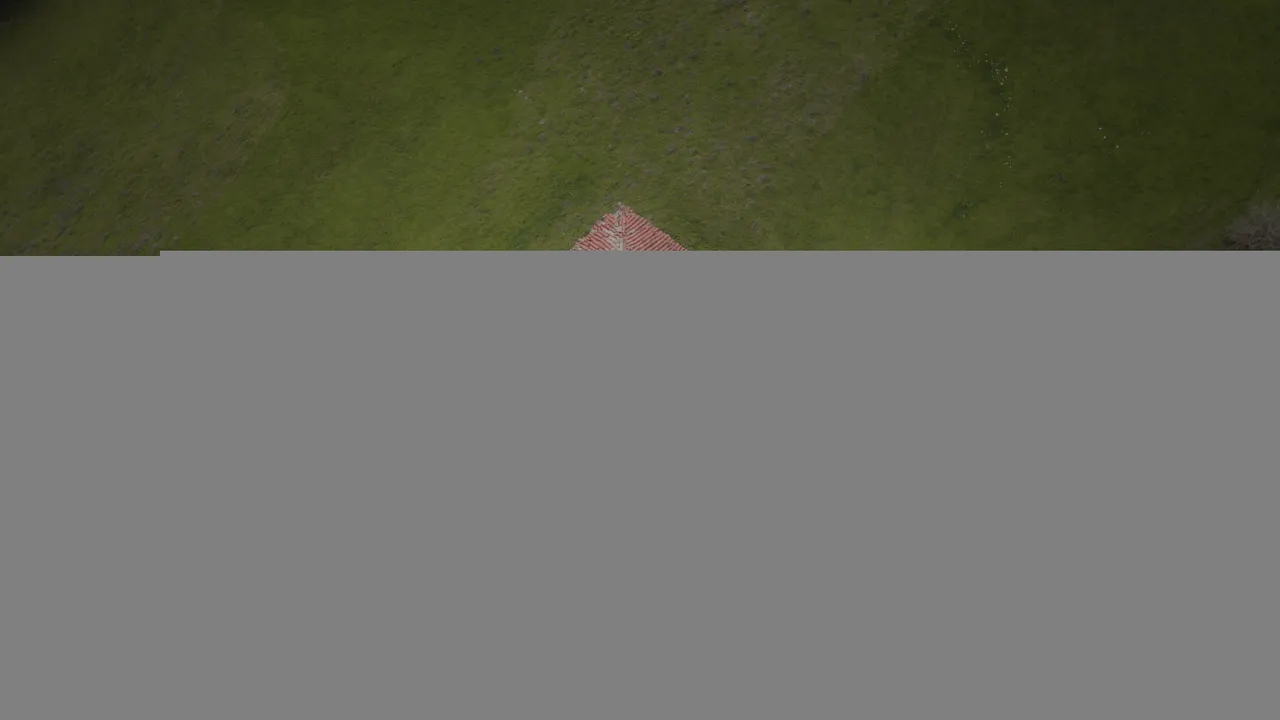 Untitled_10.16.1.jpg