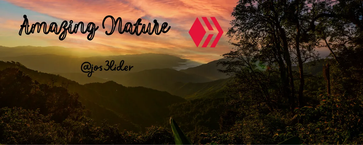 Amazing Nature.png