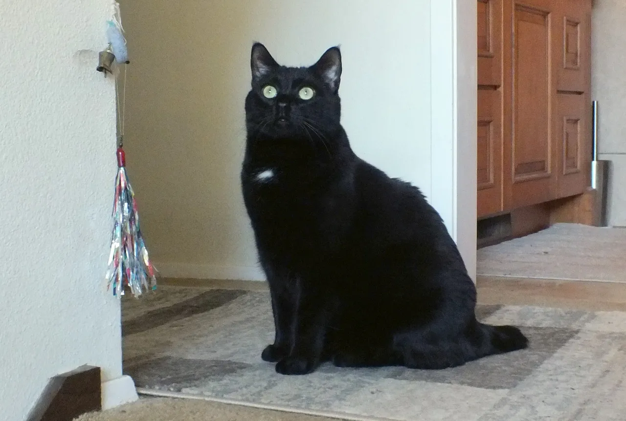 CCL0010Posing.jpg