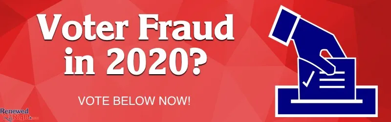 2009-voter-fraud.jpg