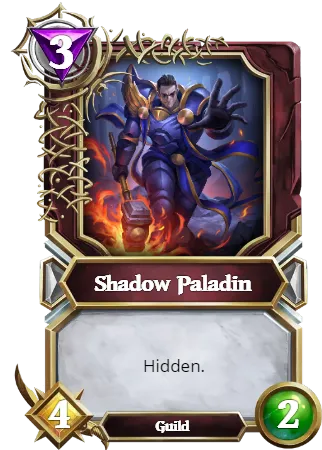 Shadow Paladin.png