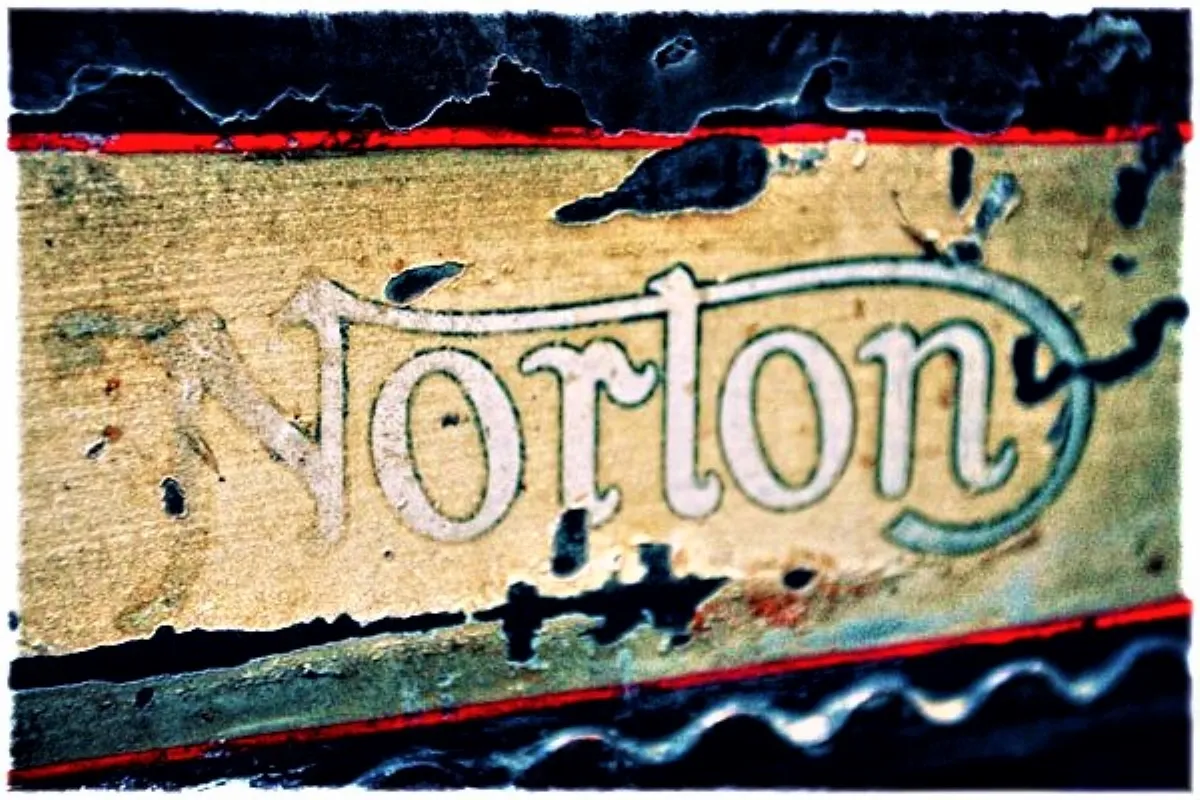 norton graphic.jpg