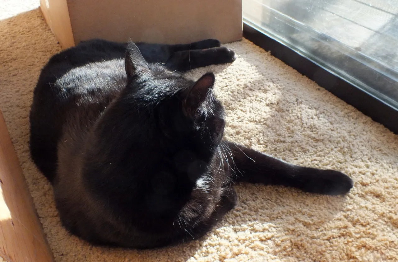 CC0170Reclining.JPG