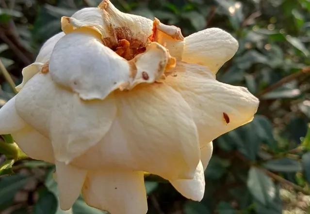 Screenshot (434).png