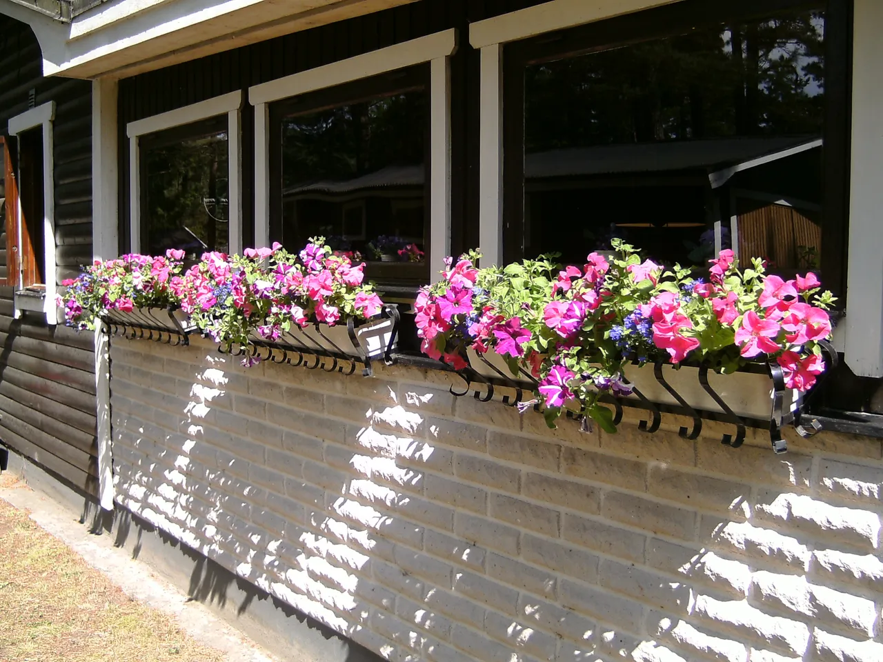 Sommar2009 028.JPG