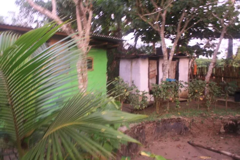 Tree house 2.jpg