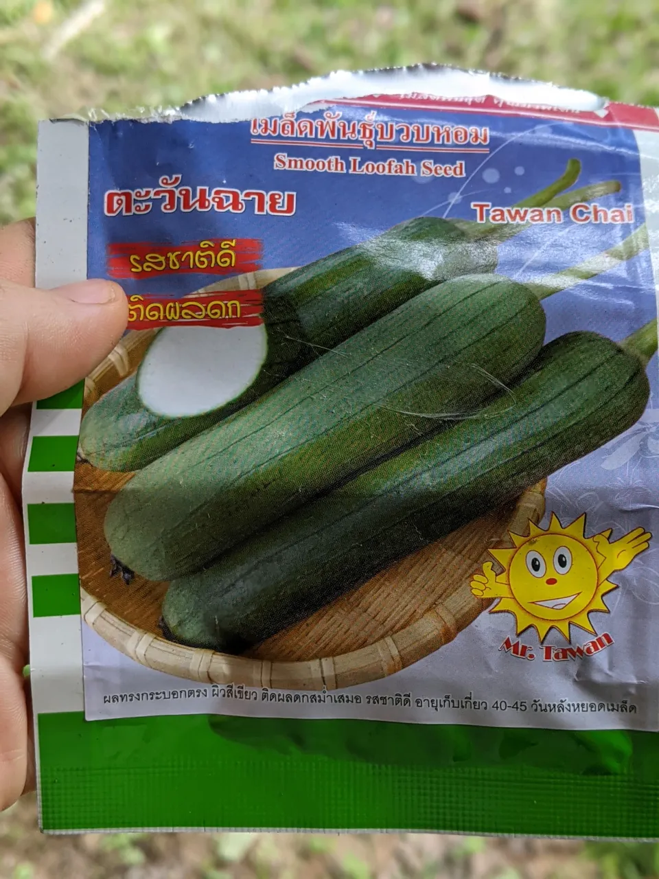 loofah-sponge-25.jpg