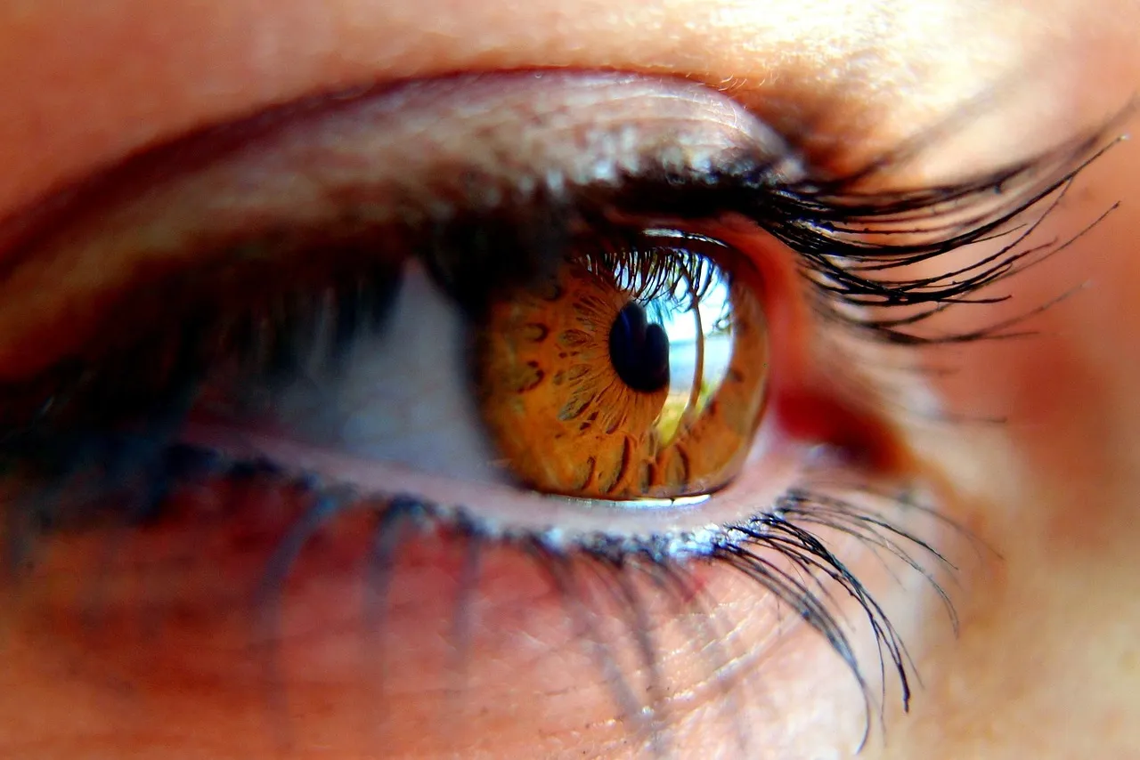 eye-3974103_1280.jpg