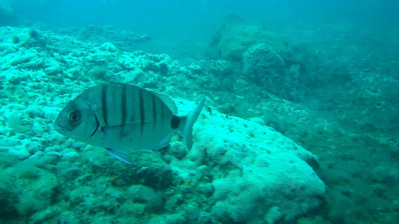 20180102_000655A.jpg