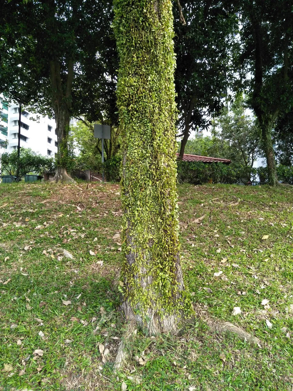 IMG20190511170602.jpg