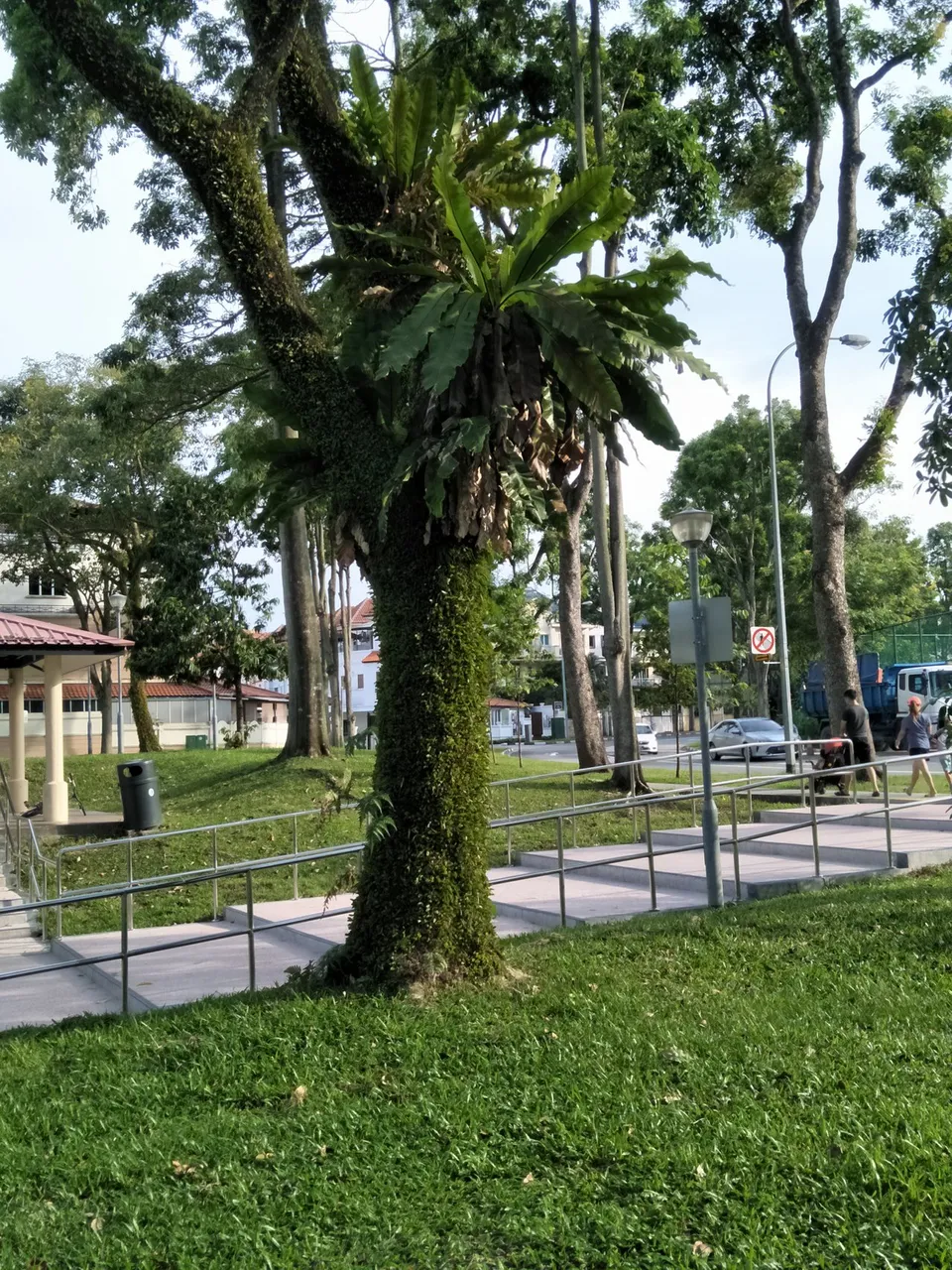 IMG20190511172607.jpg