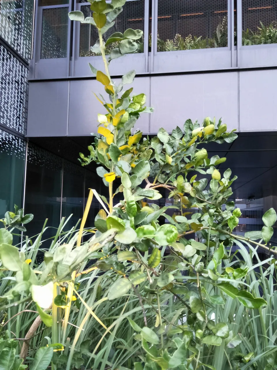 IMG20190831183701.jpg
