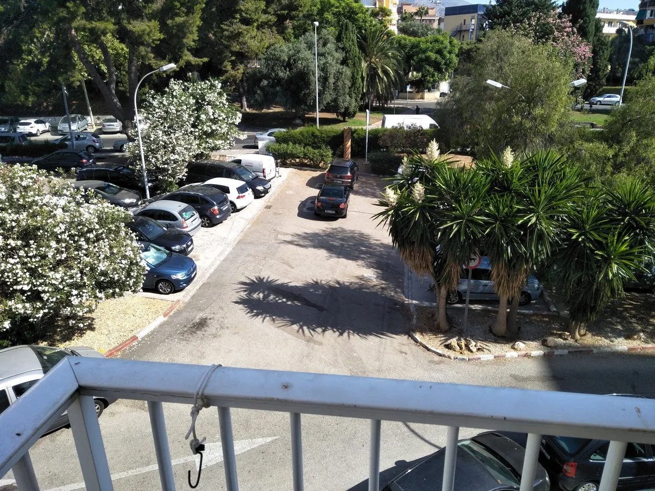 IMG20190802105144.jpg
