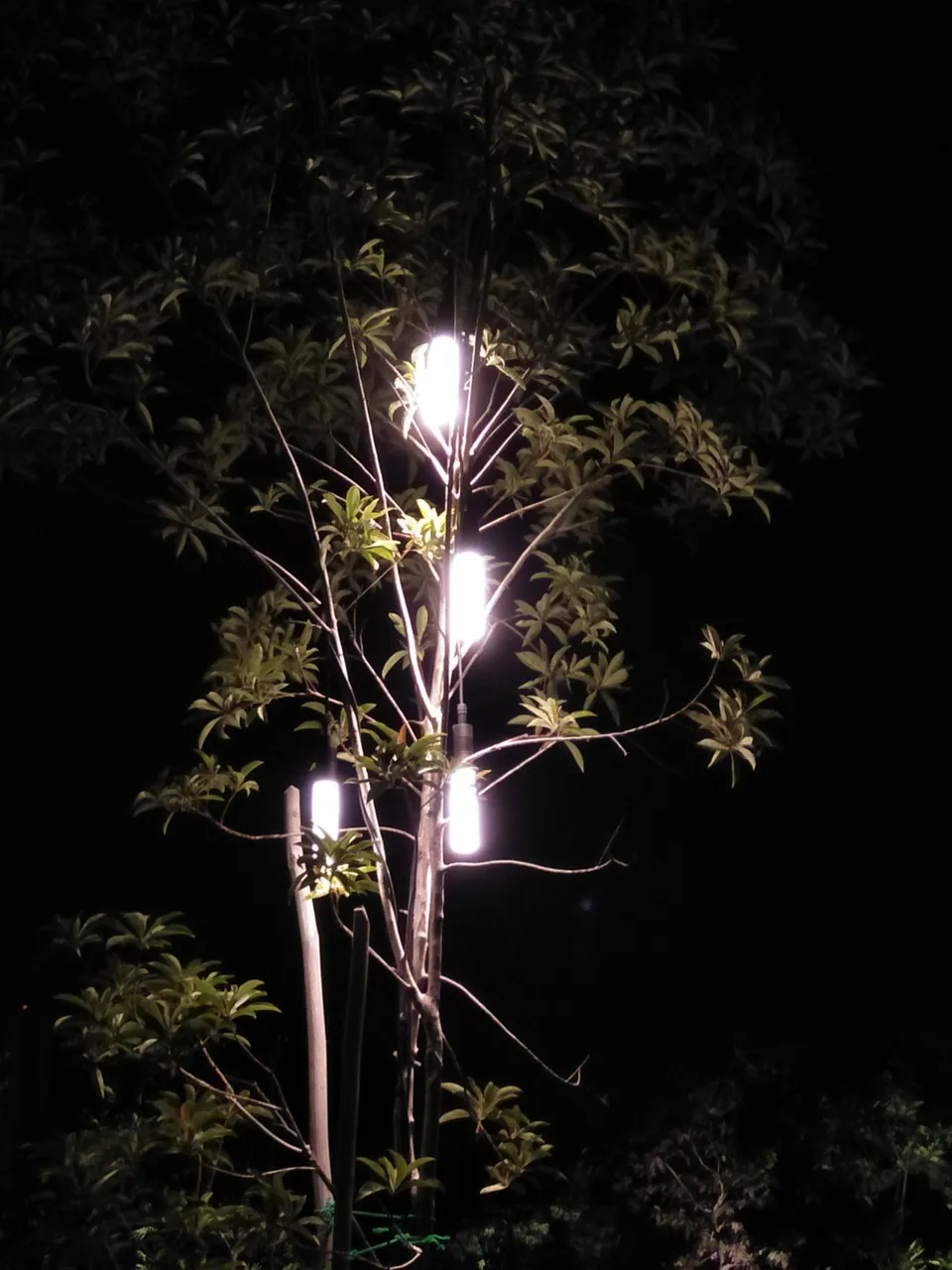 IMG20190831203712.jpg