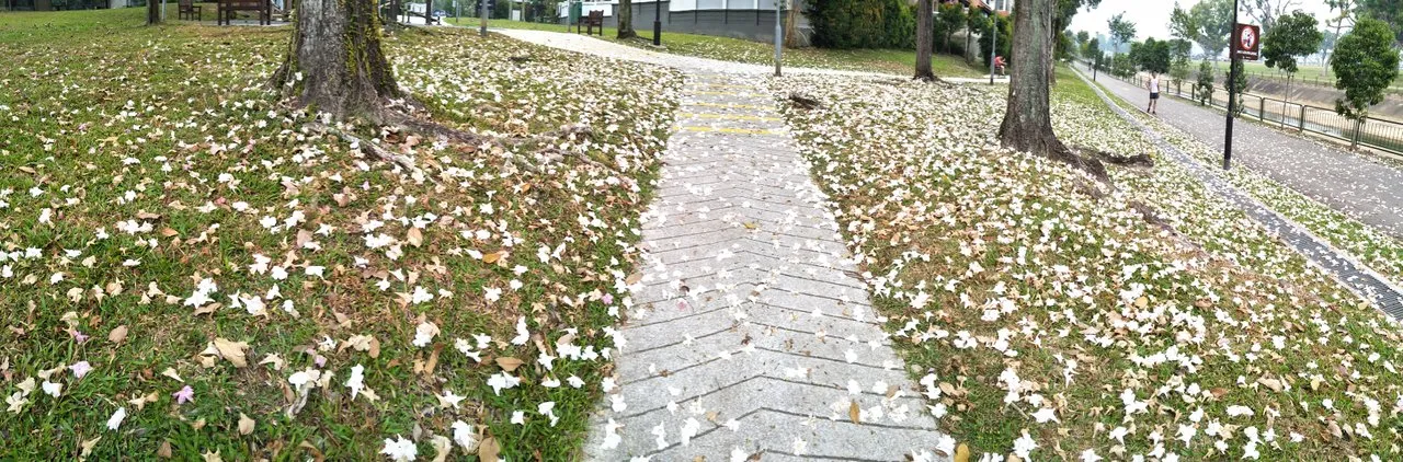 IMG20190914172112.jpg