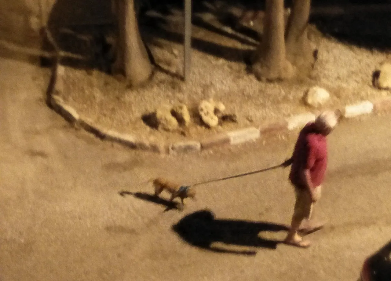 IMG20190731232421.jpg