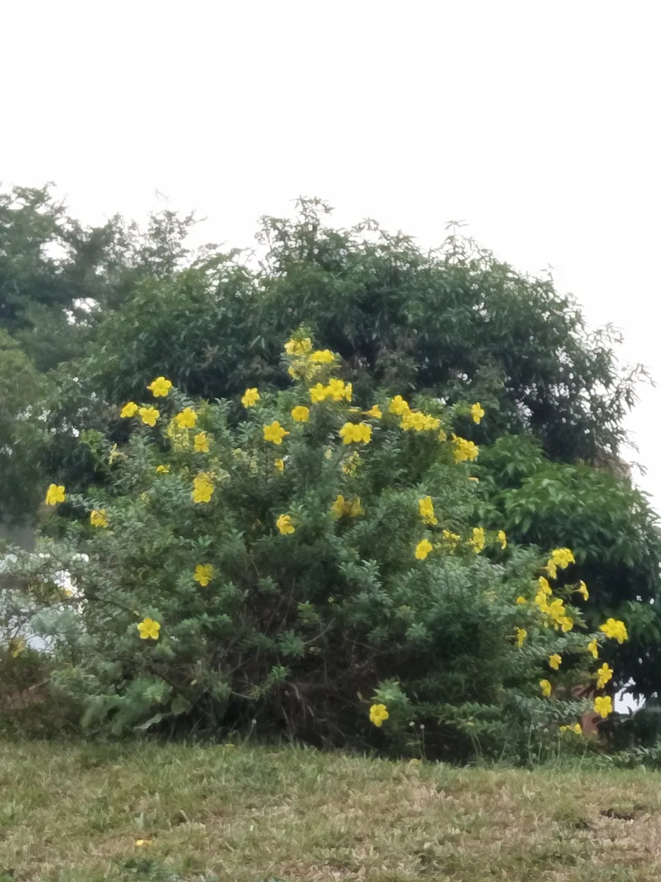IMG20190914181104.jpg