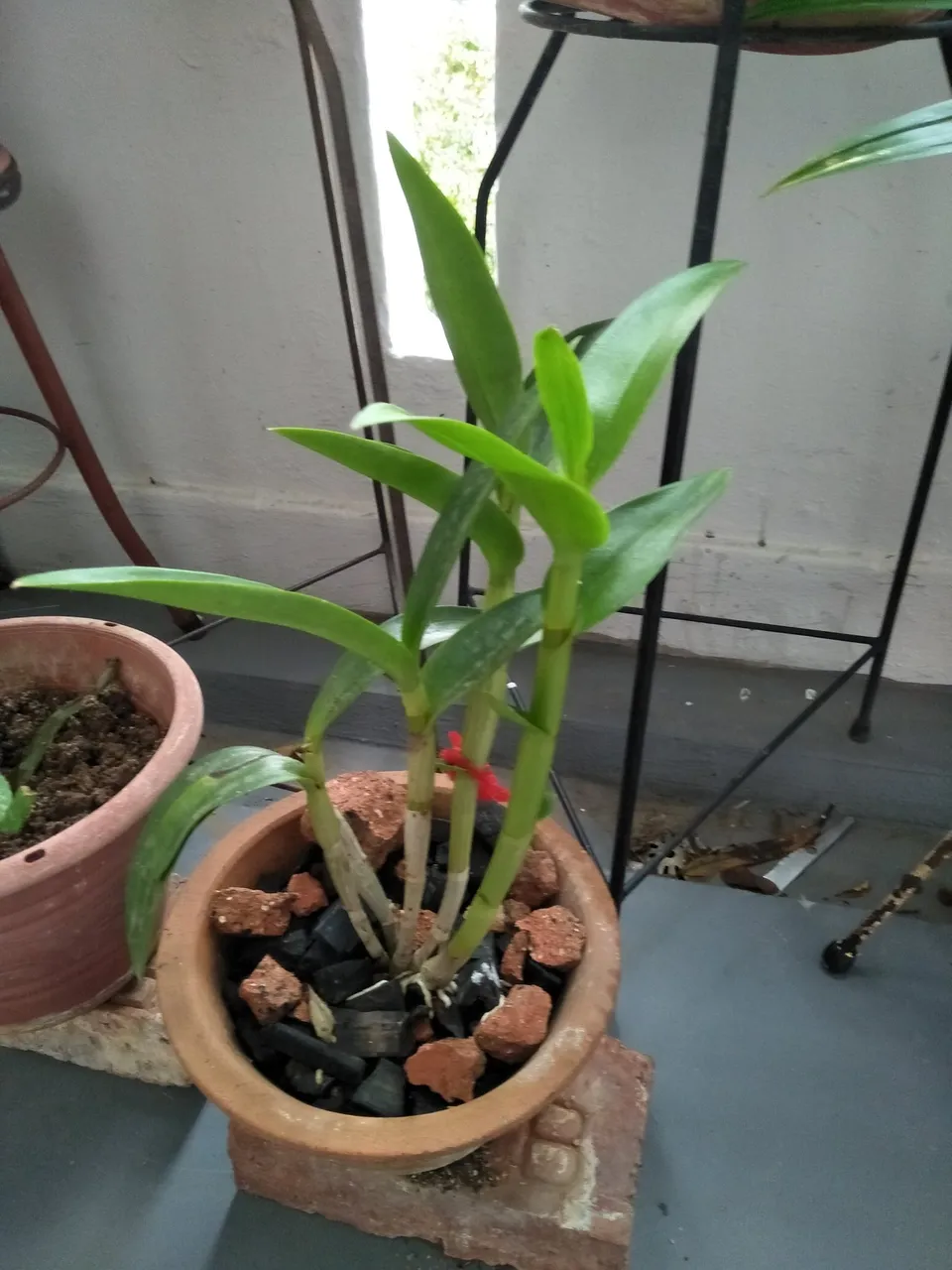 IMG20190424175258.jpg