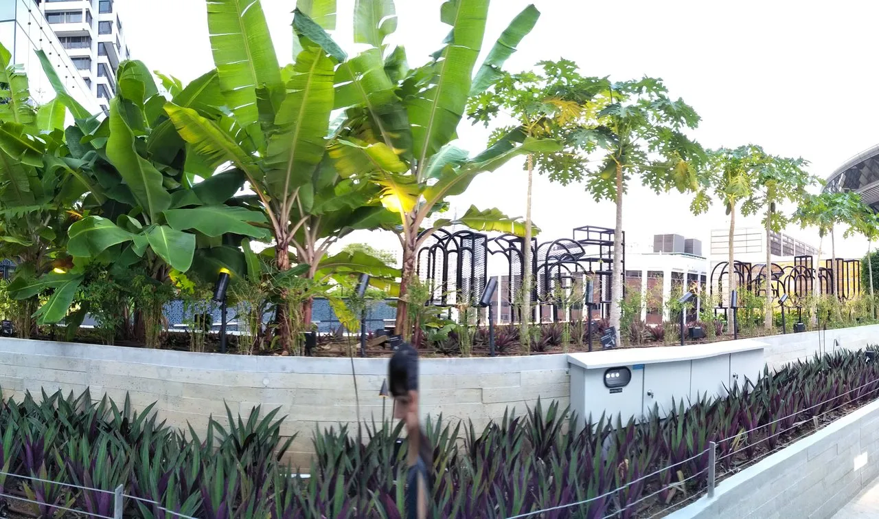 IMG20190831183533.jpg