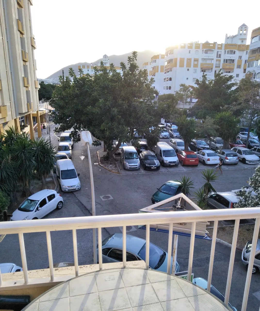 IMG20190726202224.jpg
