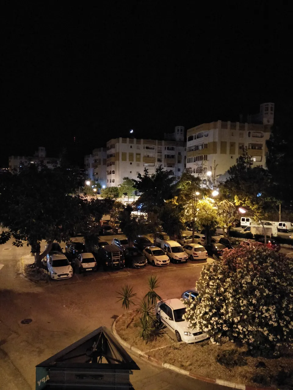 IMG20190606233737.jpg