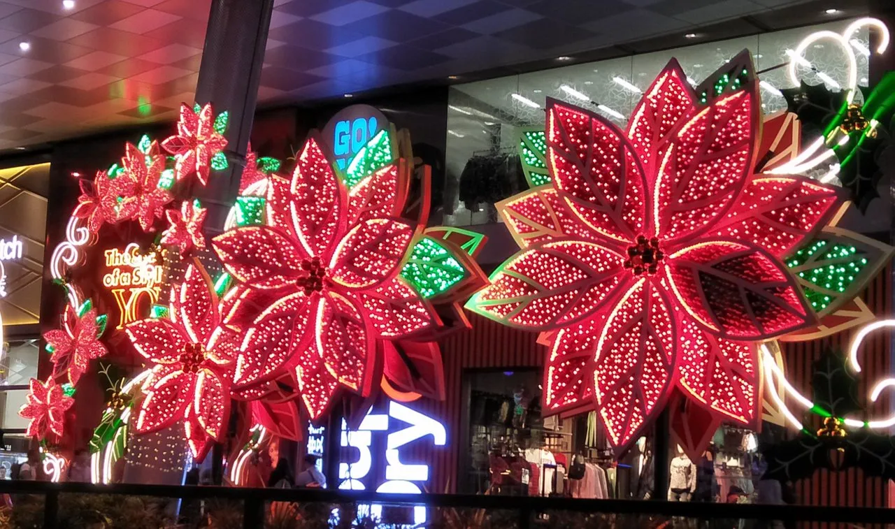 IMG20191203204802.jpg