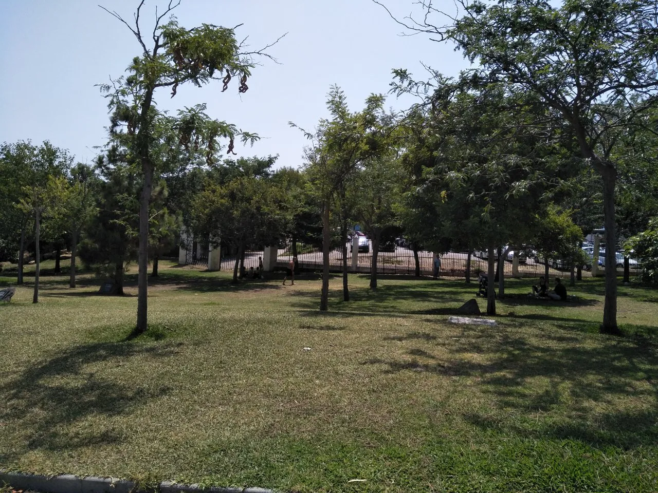 IMG20190721163651.jpg