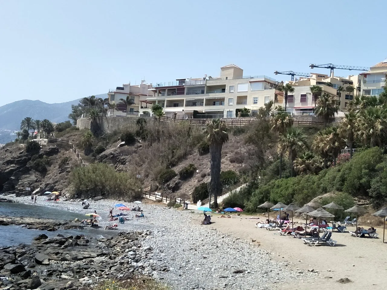 IMG20190721155309.jpg