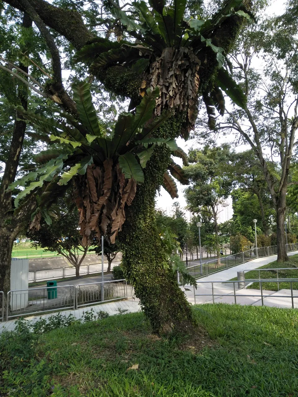 IMG20190511172620.jpg