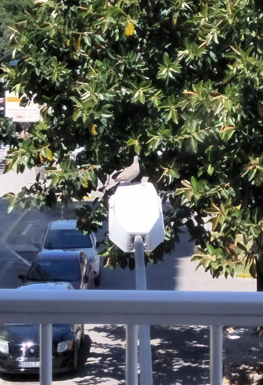 IMG20190610123546.jpg