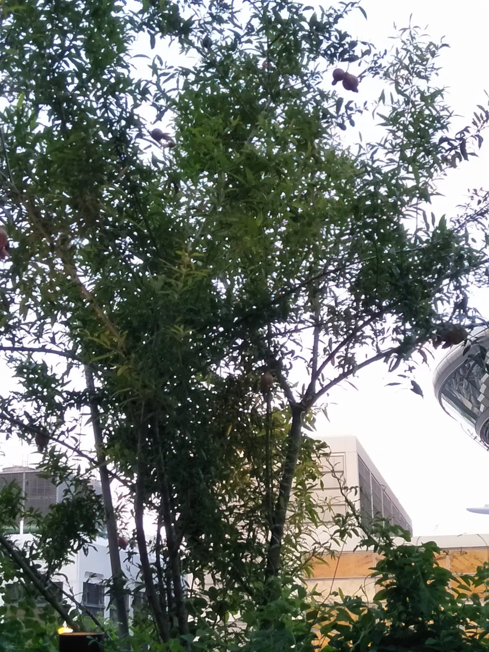 IMG20190831183646.jpg