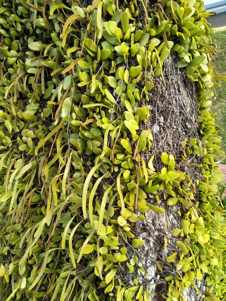 IMG20190511170815.jpg